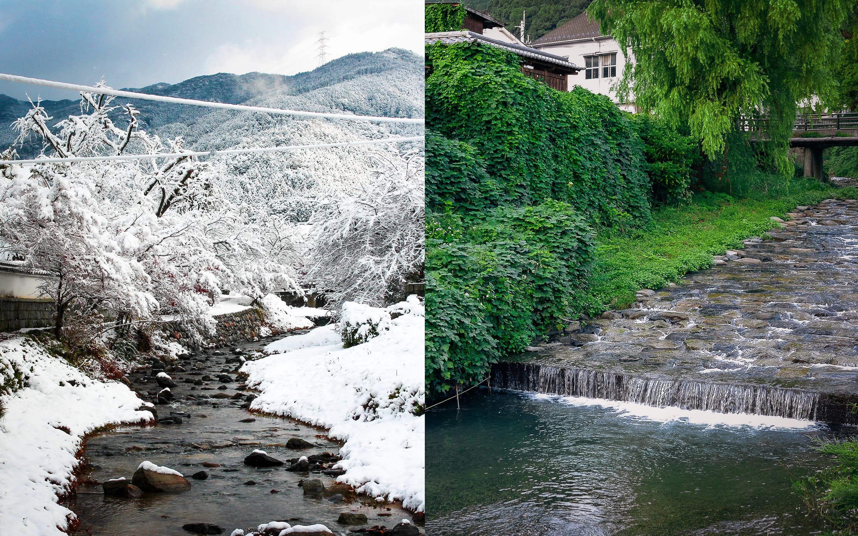 Elementary school in Akizuki